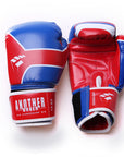 Another Boxer Boxing Gloves