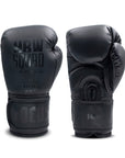 HBW Muay Thai Gloves