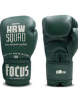 HBW Muay Thai Gloves