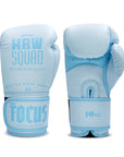 HBW Muay Thai Gloves