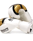 WorthDefence Boxing Gloves