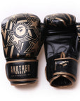 Another Boxer Star Boxing Gloves