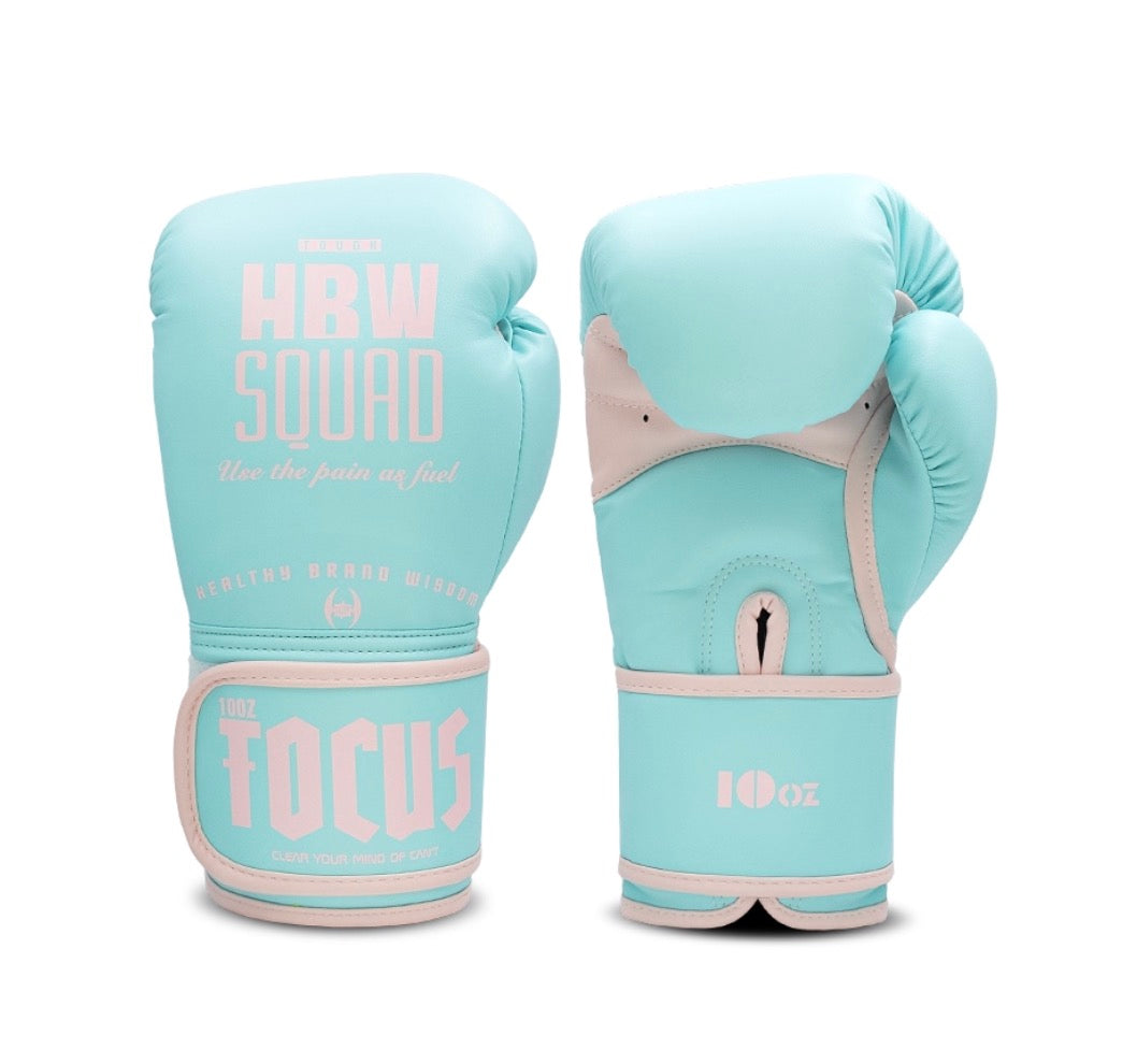 HBW Muay Thai Gloves