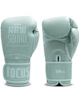 HBW Muay Thai Gloves