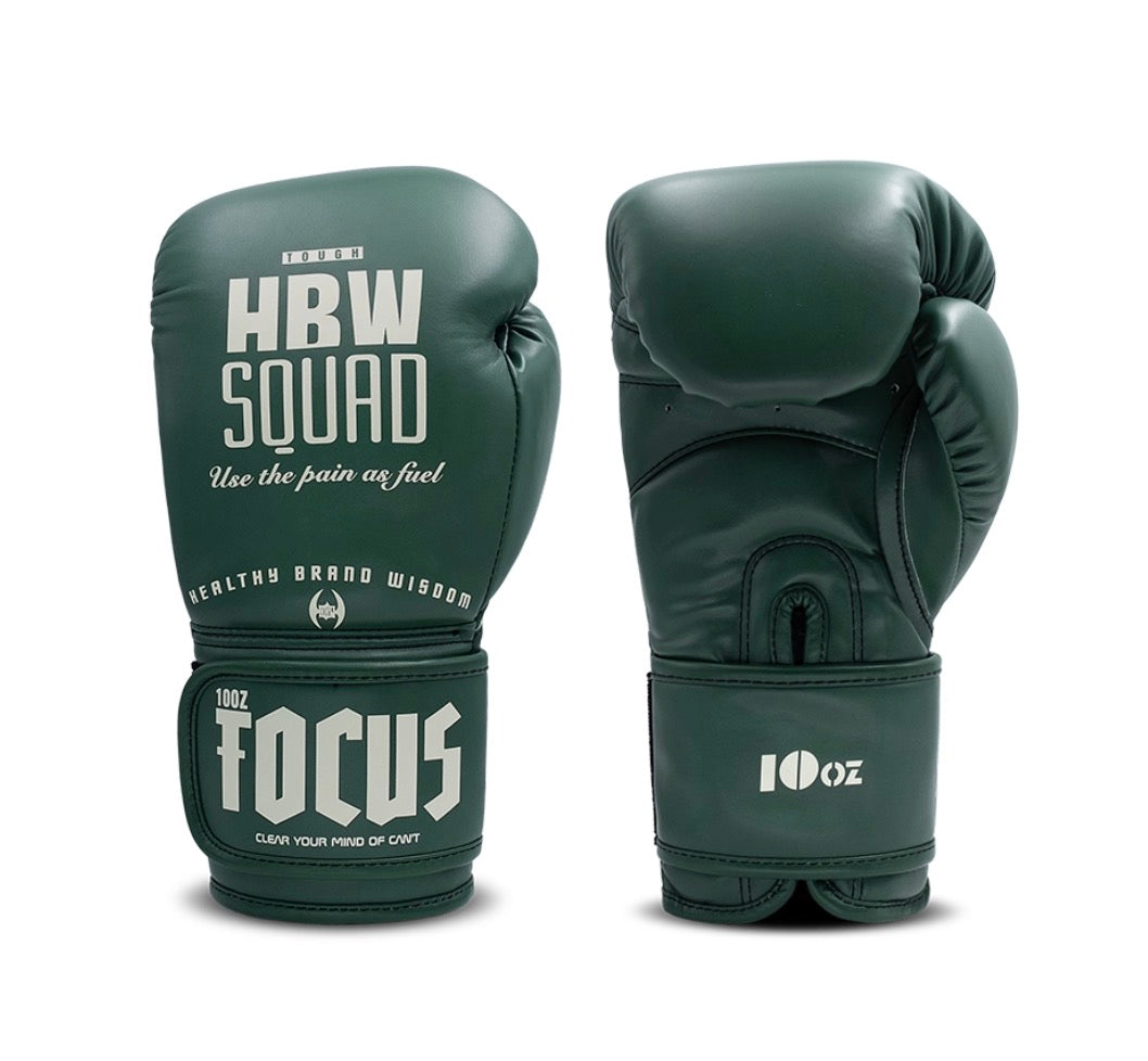 HBW Muay Thai Gloves